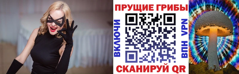 наркошоп  ОМГ ОМГ как зайти  Галлюциногенные грибы Cubensis  Выкса 